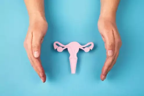 Ce este Labioplastia (Vaginoplastia) | Informații și Preț
